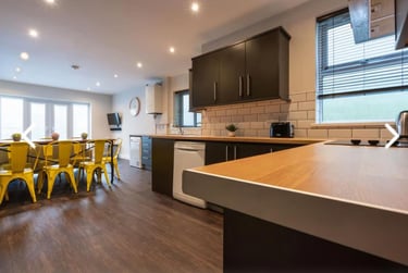 7 bed house, St. Peters Street, Plasnewydd, Cardiff, CF243BA - Image 1